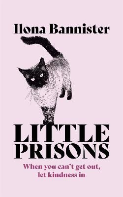 Picture of Little Prisons