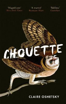 Picture of Chouette