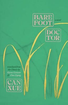 Picture of Barefoot Doctor: A Novel