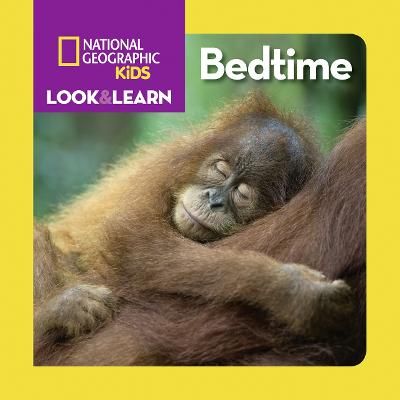 Picture of Bedtime (Look & Learn)