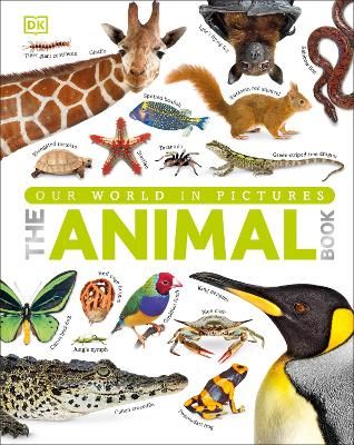 Picture of Our World in Pictures The Animal Book