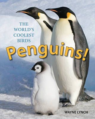 Picture of Penguins! The World's Coolest Birds