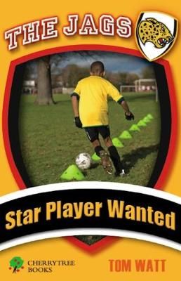 Picture of Star Player Wanted
