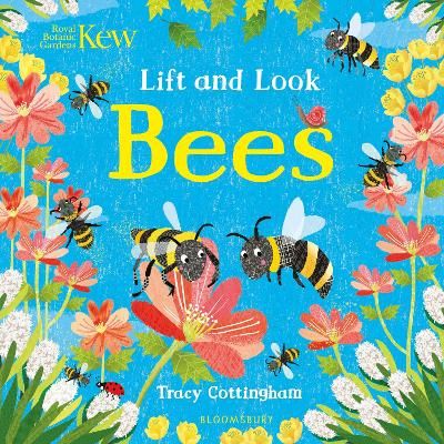 Picture of Kew: Lift and Look Bees