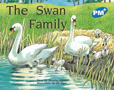 Picture of The Swan Family
