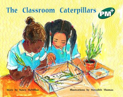Picture of The Classroom Caterpillars