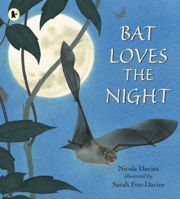 Picture of Bat Loves the Night