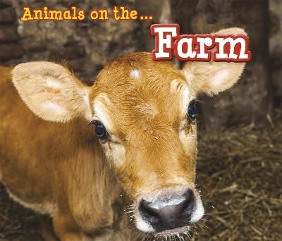 Picture of Animals on the Farm