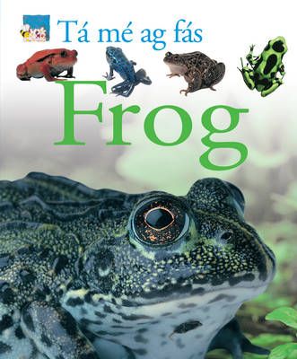 Picture of Ta me ag fas: Frog