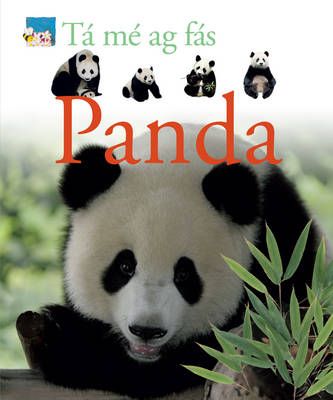 Picture of Ta me ag fas: Panda