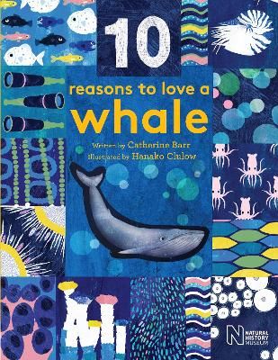 Picture of 10 Reasons to Love a... Whale