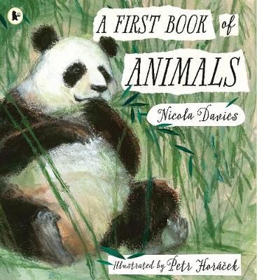 Picture of A First Book of Animals