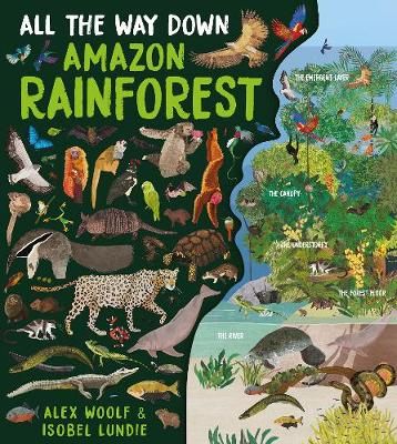 Picture of All The Way Down: Amazon Rainforest