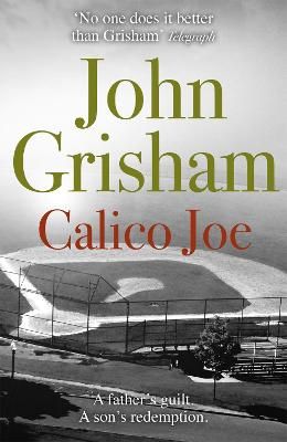 Picture of Calico Joe: An unforgettable novel about childhood, family, conflict and guilt, and forgiveness