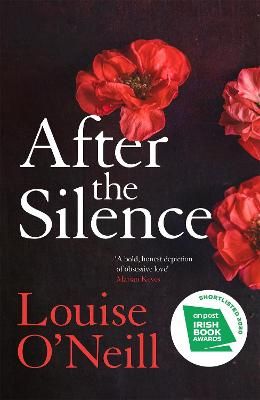 Picture of After the Silence: The An Post Irish Crime Novel of the Year