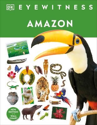 Picture of Amazon