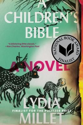 Picture of A Children's Bible: A Novel