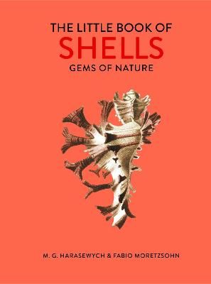 Picture of The Little Book of Shells: Gems of Nature