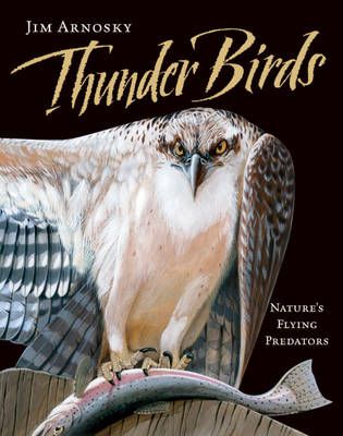 Picture of Thunder Birds: Nature's Flying Predators