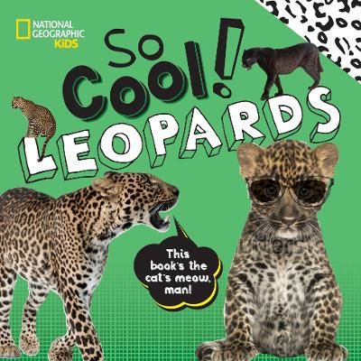 Picture of So Cool! Leopards