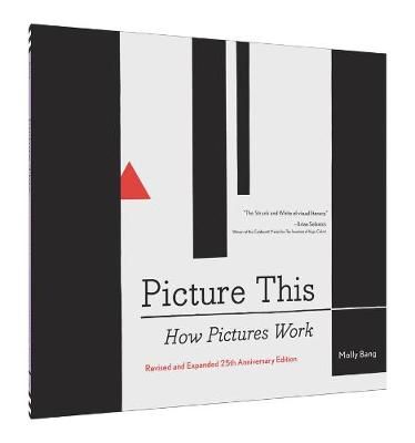 Picture of Picture This: How Pictures Work