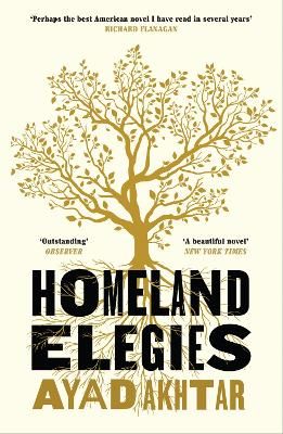 Picture of Homeland Elegies: A Barack Obama Favourite Book