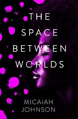 Picture of The Space Between Worlds