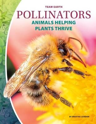 Picture of Team Earth: Pollinators