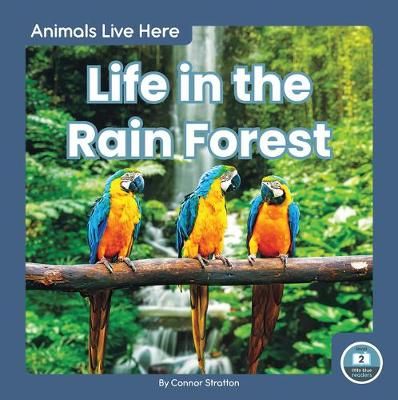 Picture of Animals Live Here: Life in the Rain Forest