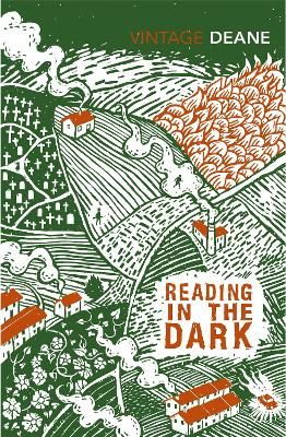 Picture of Reading in the Dark