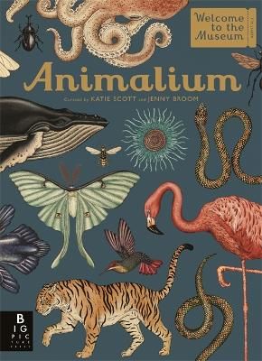 Picture of Animalium