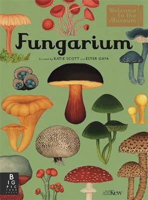 Picture of Fungarium