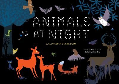 Picture of Animals at Night: A Glow-in-the-Dark Book