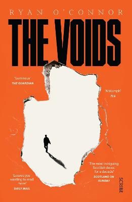 Picture of The Voids