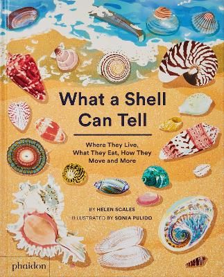 Picture of What A Shell Can Tell