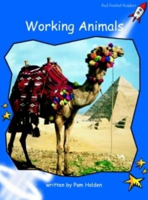 Picture of Red Rocket Readers: Early Level 3 Non-Fiction Set B: Working Animals (Reading Level 11/F&P Level H)
