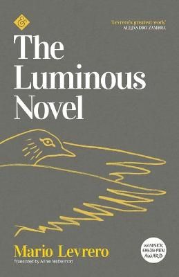 Picture of The Luminous Novel