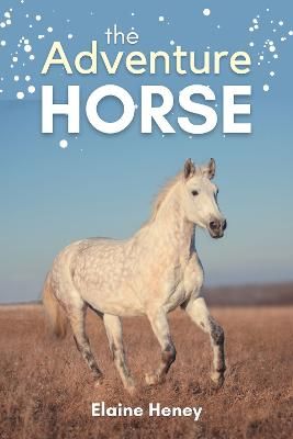Picture of The Adventure Horse: Book 5 in the Connemara Horse Adventure Series for Kids