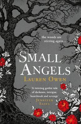Picture of Small Angels: A 'beautifully written modern ghost story' New York Times
