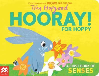 Picture of Hooray for Hoppy: A First Book of Senses