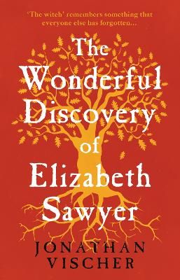 Picture of The Wonderful Discovery of Elizabeth Sawyer