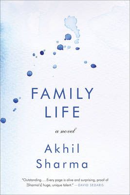 Picture of Family Life: A Novel