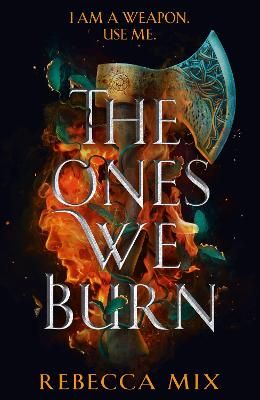 Picture of The Ones We Burn: an unmissable dark epic young adult fantasy