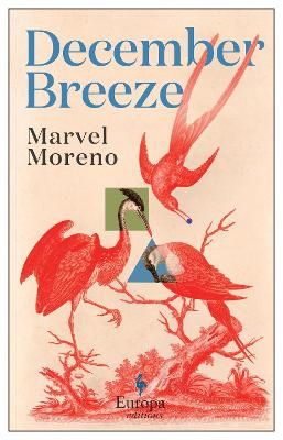 Picture of December Breeze: A masterful novel on womanhood in Colombia