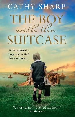 Picture of The Boy with the Suitcase