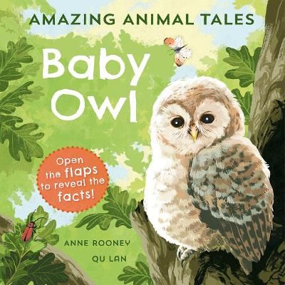 Picture of Amazing Animal Tales: Baby Owl