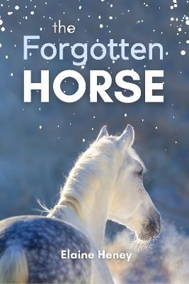 Picture of The Forgotten Horse: Book 1 in the Connemara Horse Adventure Series for Kids. The perfect gift for children age 8-12.