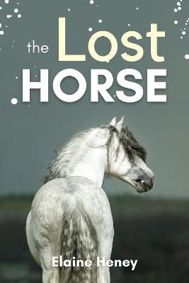 Picture of The Lost Horse: Book 6 in the Connemara Horse Adventure Series for Kids