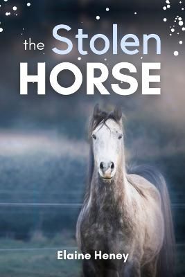 Picture of The Stolen Horse: Book 4 in the Connemara Horse Adventure Series for Kids | The Perfect Gift for Children age 8-12