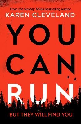 Picture of You Can Run: An unputdownable thriller